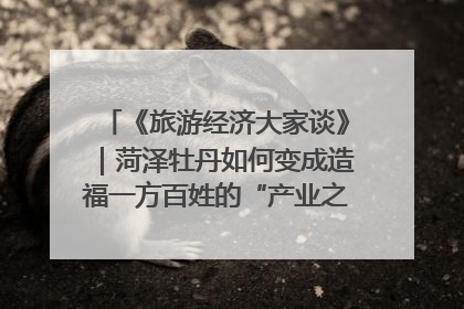 《旅游经济大家谈》｜菏泽牡丹如何变成造福一方百姓的“产业之花”“富民之花”？