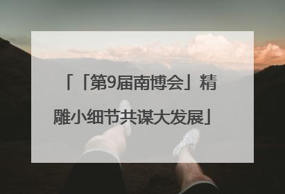 「第9届南博会」精雕小细节共谋大发展