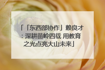 「东西部协作」赖良才：深耕苗岭四载 用教育之光点亮大山未来
