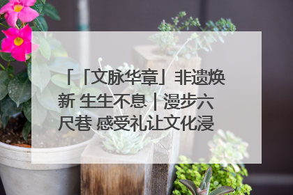 「文脉华章」非遗焕新 生生不息｜漫步六尺巷 感受礼让文化浸润的“巷”往生活