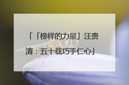 「榜样的力量」汪贵清：五十载巧手仁心