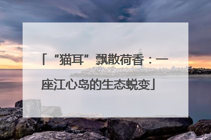 “猫耳”飘散荷香：一座江心岛的生态蜕变