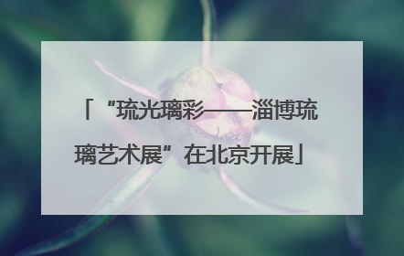 “琉光璃彩——淄博琉璃艺术展”在北京开展