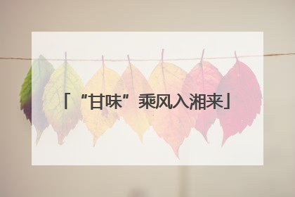 “甘味”乘风入湘来
