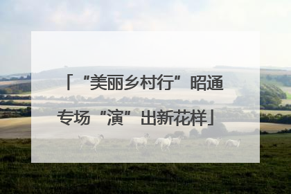 “美丽乡村行”昭通专场“演”出新花样