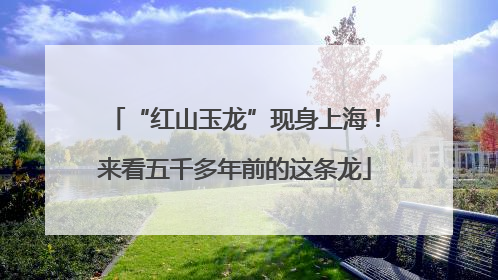 “红山玉龙”现身上海！来看五千多年前的这条龙