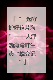 “一起守护好这片海”——天津渤海湾畔生态“蜕变记”