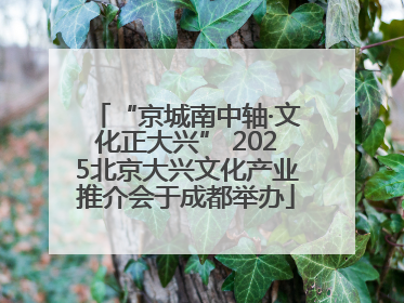 “京城南中轴·文化正大兴” 2025北京大兴文化产业推介会于成都举办