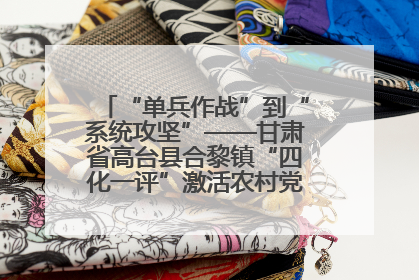 “单兵作战”到“系统攻坚”——甘肃省高台县合黎镇“四化一评”激活农村党员管理新引擎