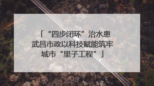 “四步闭环”治水患 武昌市政以科技赋能筑牢城市“里子工程”