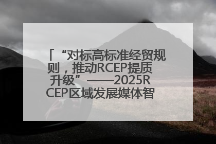 “对标高标准经贸规则，推动RCEP提质升级”——2025RCEP区域发展媒体智库论坛举行专题对话