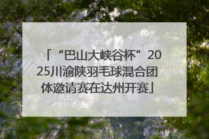 “巴山大峡谷杯”2025川渝陕羽毛球混合团体邀请赛在达州开赛