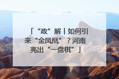“政”解丨如何引来“金凤凰”？河南亮出“一盘棋”