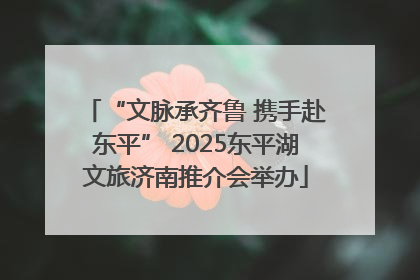 “文脉承齐鲁 携手赴东平” 2025东平湖文旅济南推介会举办
