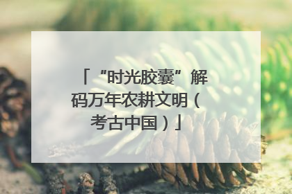 “时光胶囊”解码万年农耕文明（考古中国）