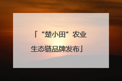 “楚小田”农业生态链品牌发布