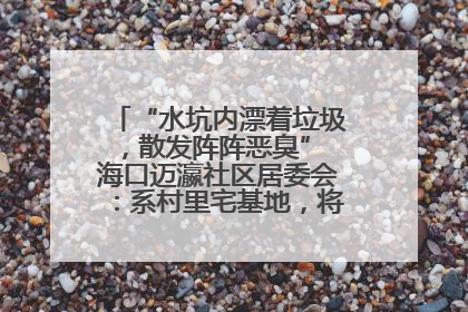 “水坑内漂着垃圾，散发阵阵恶臭” 海口迈瀛社区居委会：系村里宅基地，将派人打捞垃圾