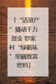 “活资产”撬动千万资金 罗家村“绿循环”里藏致富密码
