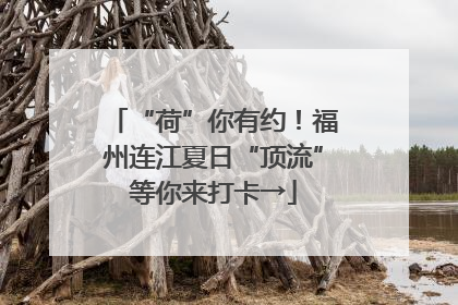 “荷”你有约！福州连江夏日“顶流”等你来打卡→