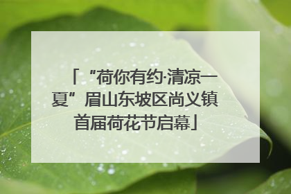 “荷你有约·清凉一夏”眉山东坡区尚义镇首届荷花节启幕