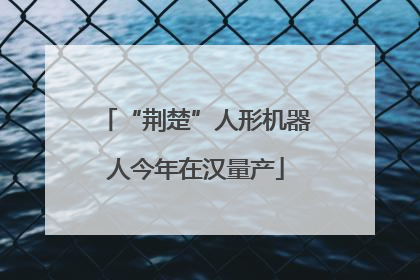 “荆楚”人形机器人今年在汉量产