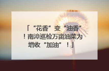 “花香”变“油香”！南漳巡检万亩油菜为增收“加油”！