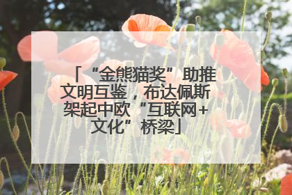 “金熊猫奖”助推文明互鉴，布达佩斯架起中欧“互联网+文化”桥梁