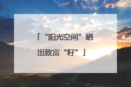 “阳光空间”晒出致富“籽”