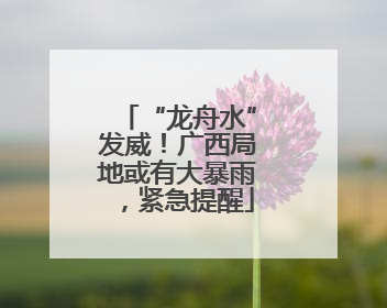 “龙舟水”发威！广西局地或有大暴雨，紧急提醒