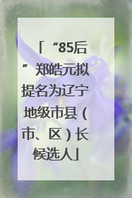 “85后”郑皓元拟提名为辽宁地级市县（市、区）长候选人