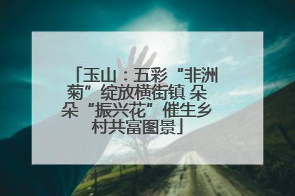 玉山：五彩“非洲菊”绽放横街镇 朵朵“振兴花”催生乡村共富图景