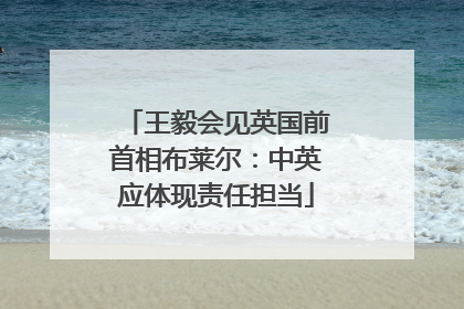 王毅会见英国前首相布莱尔：中英应体现责任担当
