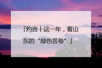 灼言丨这一年，看山东的“绿色答卷”