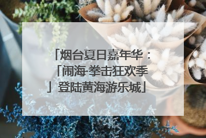 烟台夏日嘉年华：「闹海·拳击狂欢季」登陆黄海游乐城