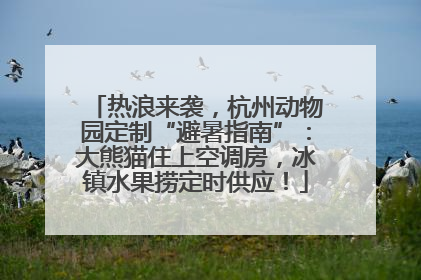 热浪来袭，杭州动物园定制“避暑指南”：大熊猫住上空调房，冰镇水果捞定时供应！