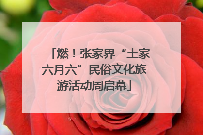 燃！张家界“土家六月六”民俗文化旅游活动周启幕