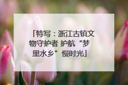 特写：浙江古镇文物守护者 护航“梦里水乡”慢时光