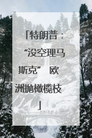 特朗普：“没空理马斯克” 欧洲抛橄榄枝