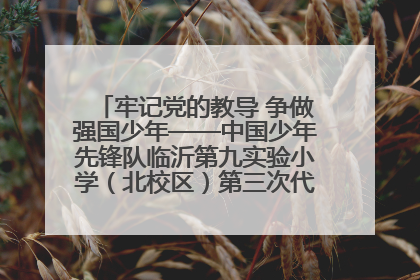 牢记党的教导 争做强国少年——中国少年先锋队临沂第九实验小学（北校区）第三次代表大会胜利召开