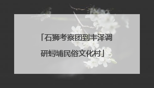 石狮考察团到丰泽调研蟳埔民俗文化村