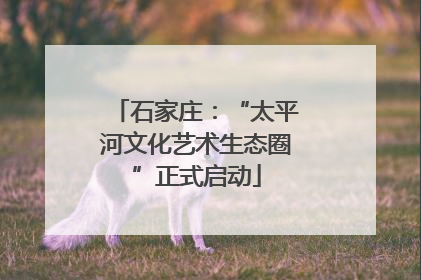 石家庄：“太平河文化艺术生态圈”正式启动