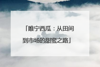 睢宁西瓜：从田间到市场的甜蜜之路