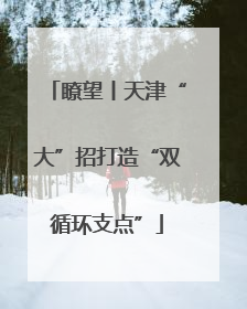 瞭望丨天津“大”招打造“双循环支点”