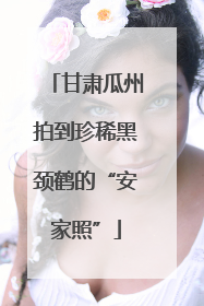 甘肃瓜州拍到珍稀黑颈鹤的“安家照”