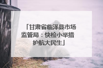 甘肃省临泽县市场监管局：快检小举措 护航大民生
