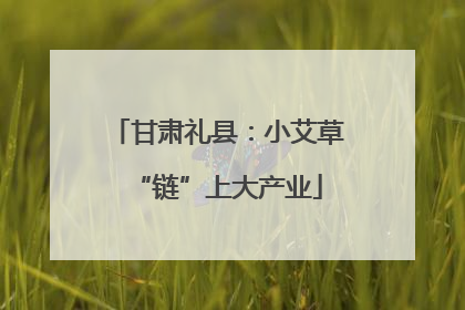 甘肃礼县：小艾草“链”上大产业