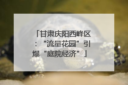甘肃庆阳西峰区：“流量花园”引爆“庭院经济”