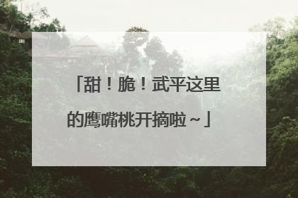 甜！脆！武平这里的鹰嘴桃开摘啦～