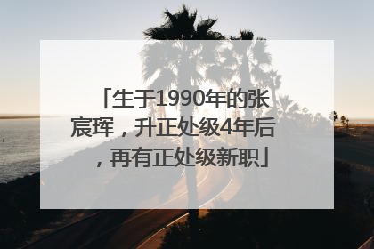 生于1990年的张宸珲，升正处级4年后，再有正处级新职