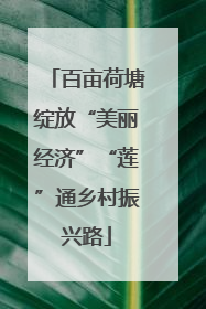 百亩荷塘绽放“美丽经济”“莲”通乡村振兴路